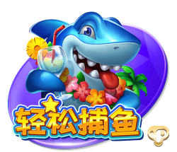 不雅视频电脑免费版